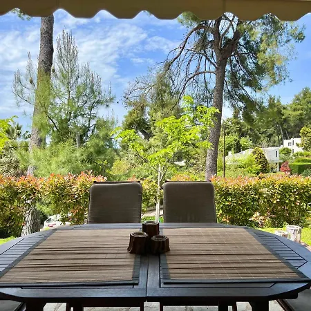 Serenity By Halu! Sani *